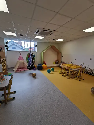 Dwujęzyczne Niepubliczne Przedszkole i Żłobek SUNNY BUDDIES - Nowy Sącz